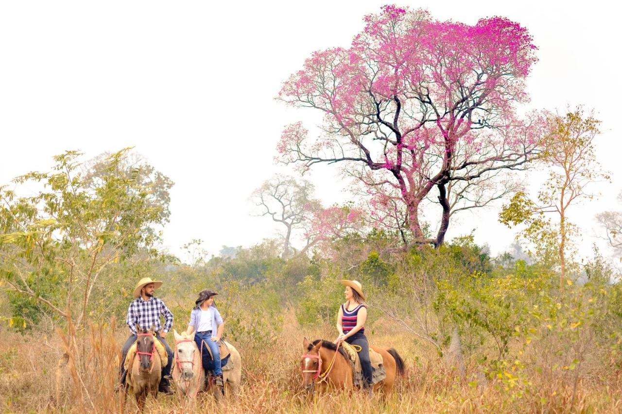 Hotel Pantanal Mato Grosso Poconé Kültér fotó