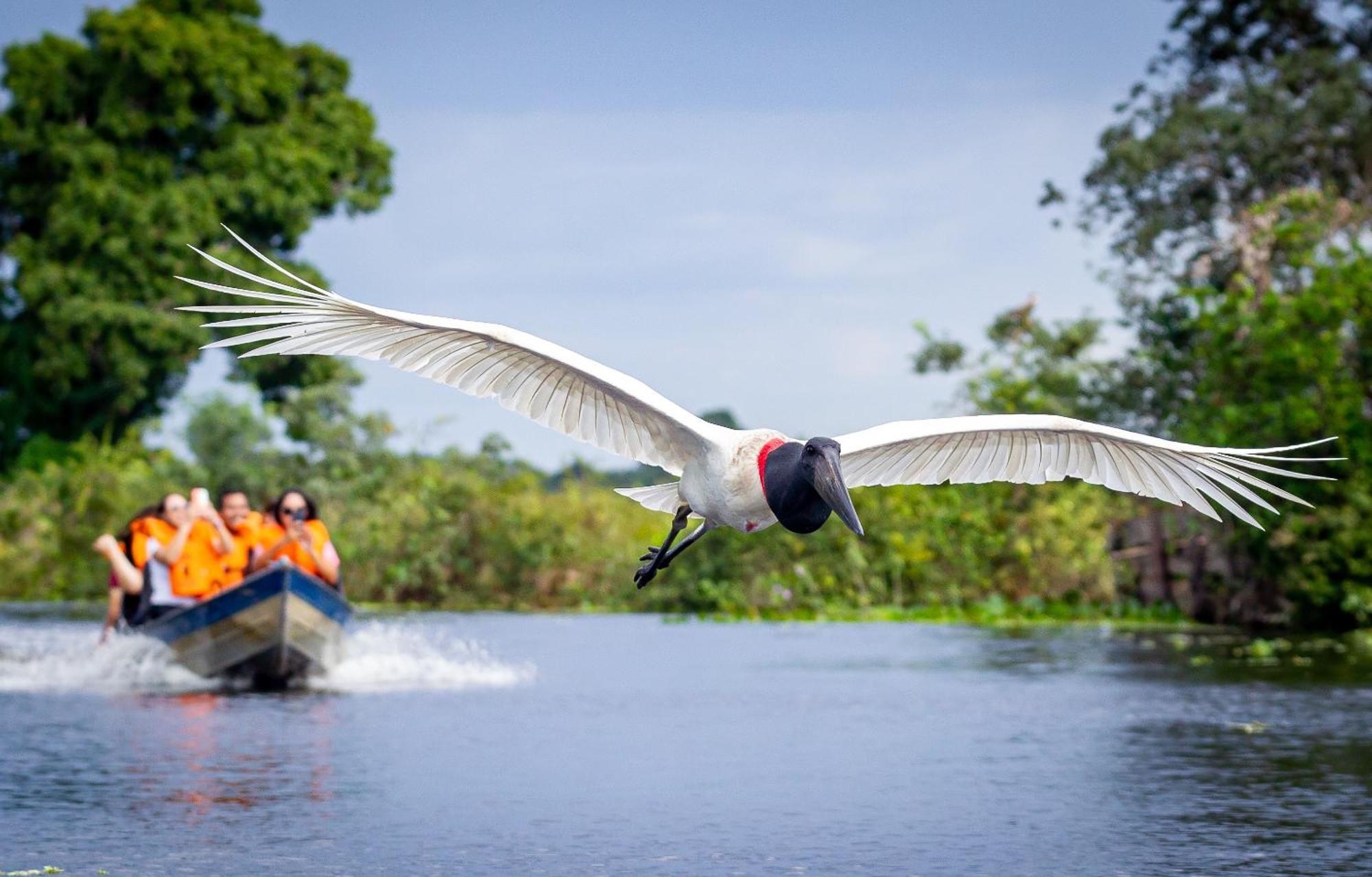 Hotel Pantanal Mato Grosso Poconé Kültér fotó