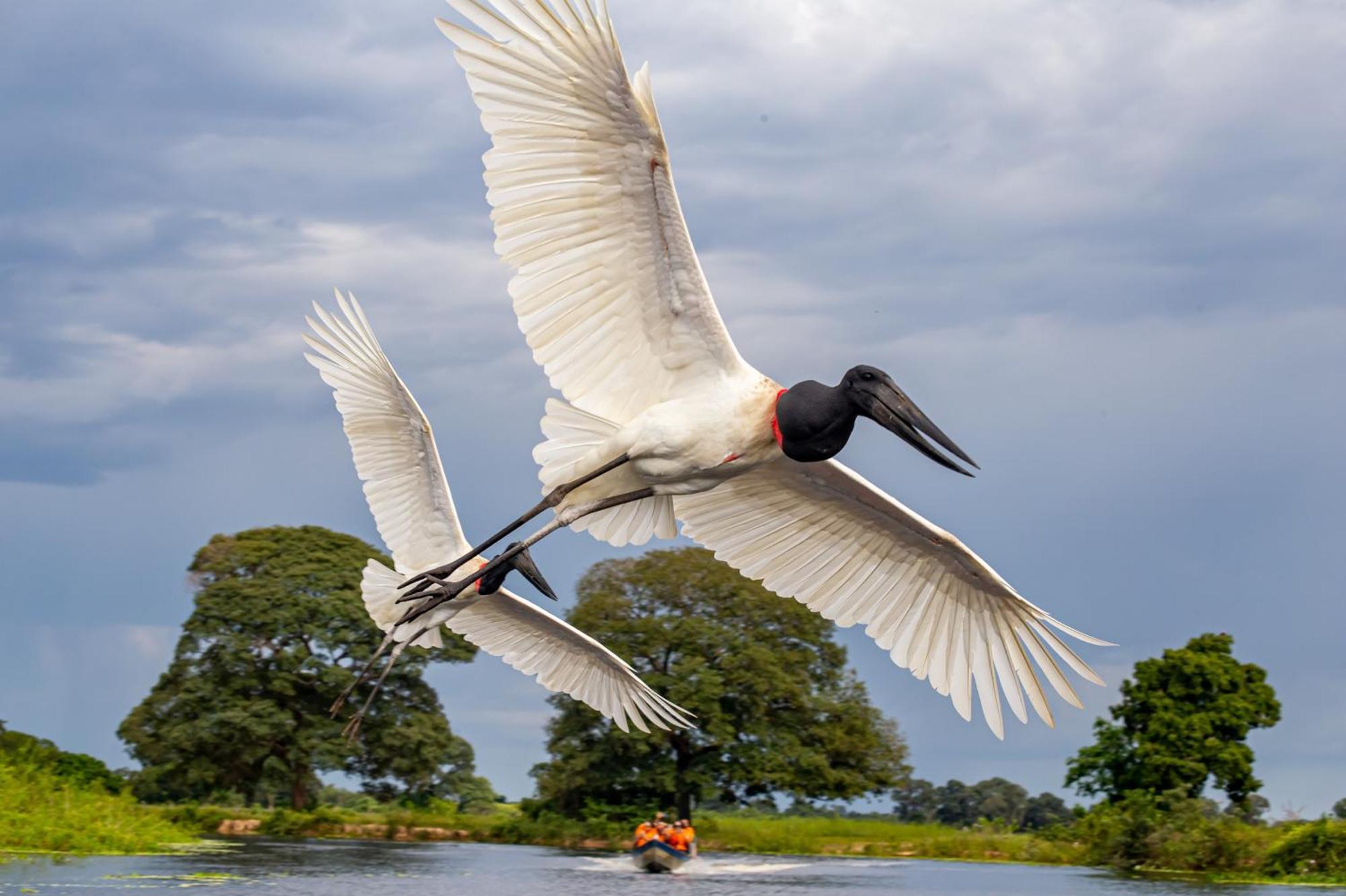 Hotel Pantanal Mato Grosso Poconé Kültér fotó